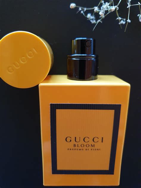 novità profumo gucci